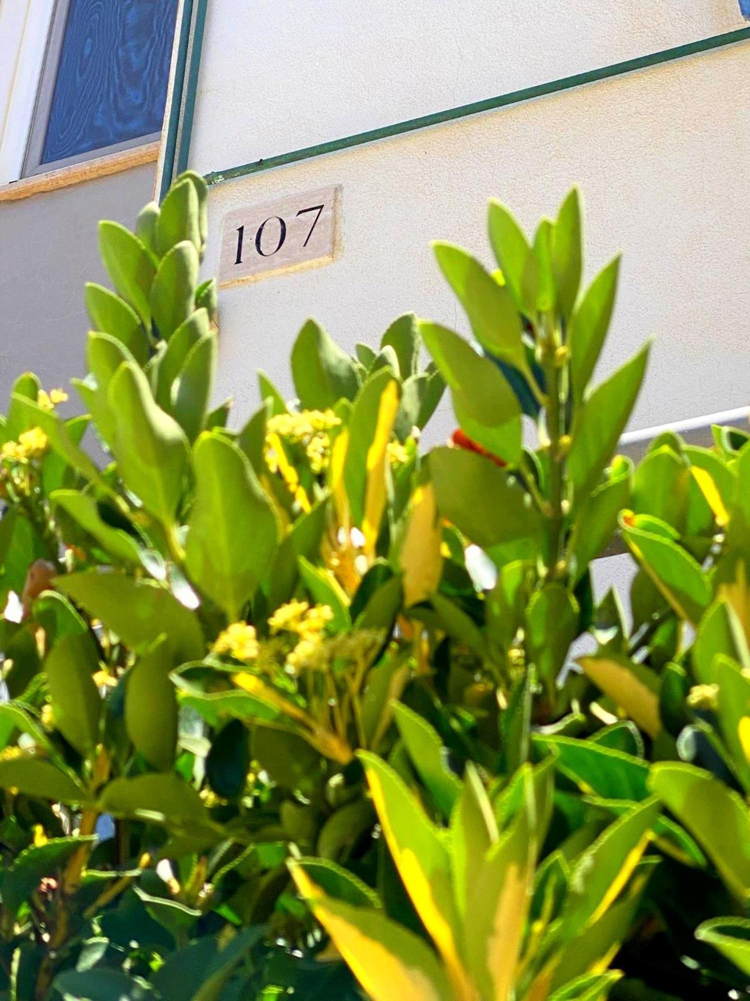 Apartment 107 - Roma Фьюмичино Экстерьер фото